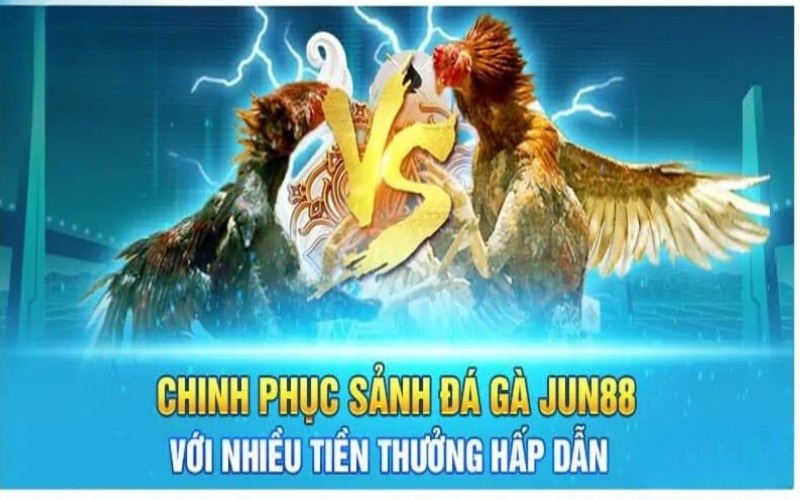 Chiến thuật chơi đá gà tại Jun88 hiệu quả 