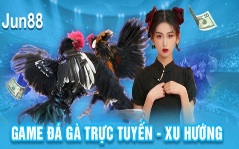 Tổng quan về sảnh đá gà Jun88 